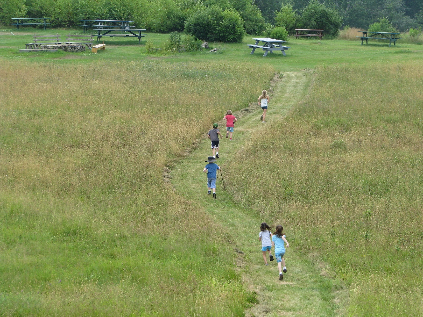 Summer Fun 2024: Sign-ups Available Now