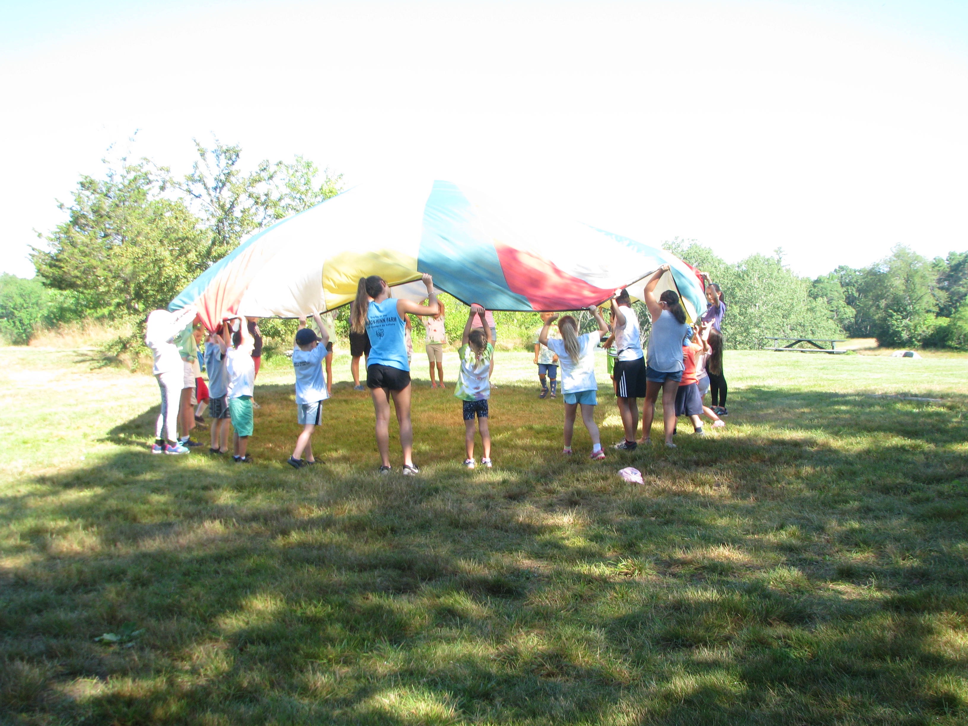 Summer Fun 2023